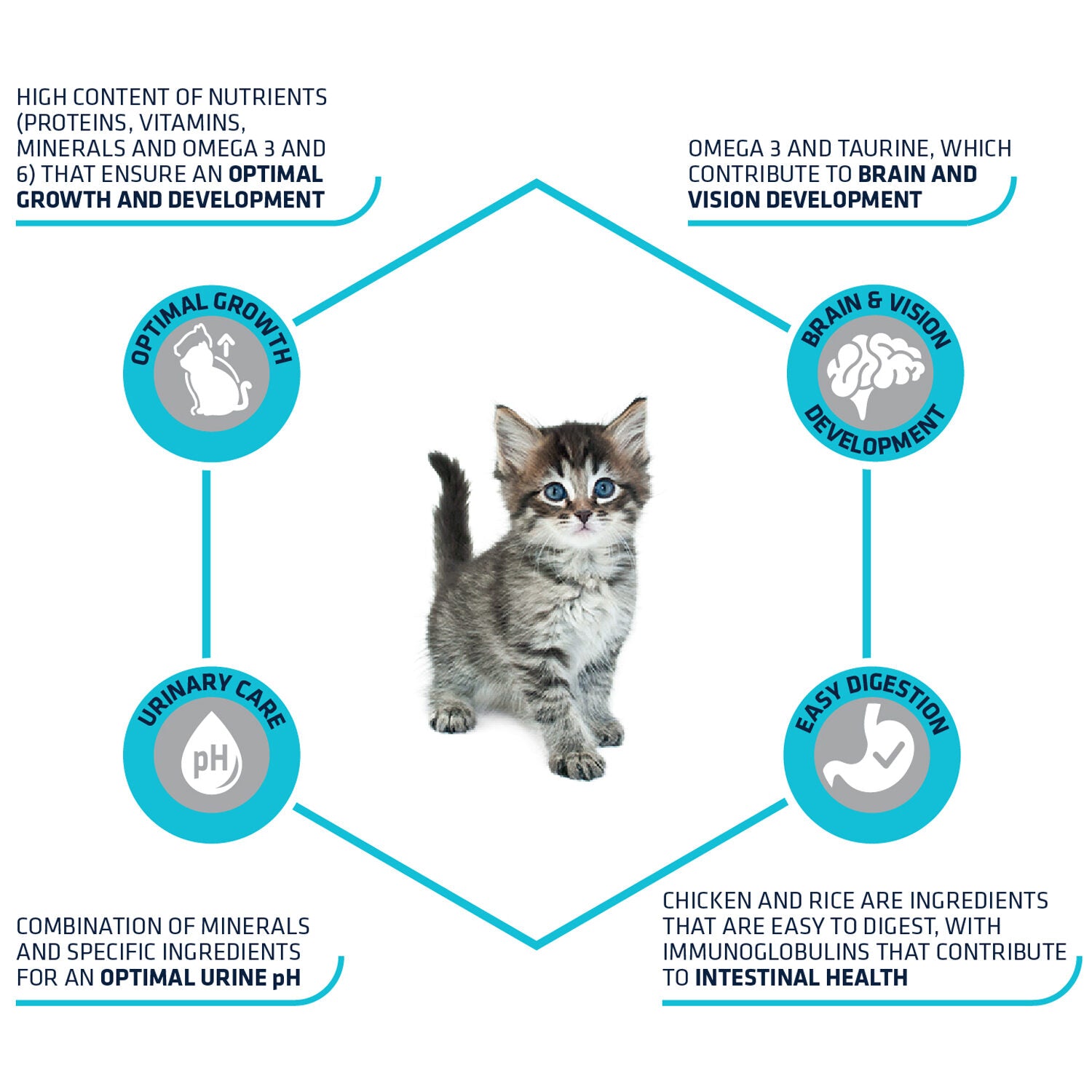  Affinity Advance Kitten Chicken And Rice