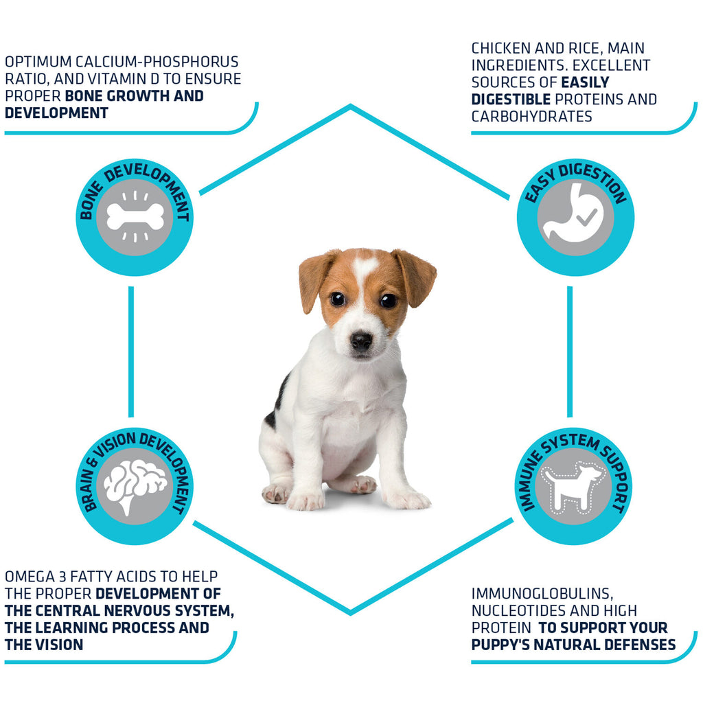  Affinity Advance Puppy Protect Mini