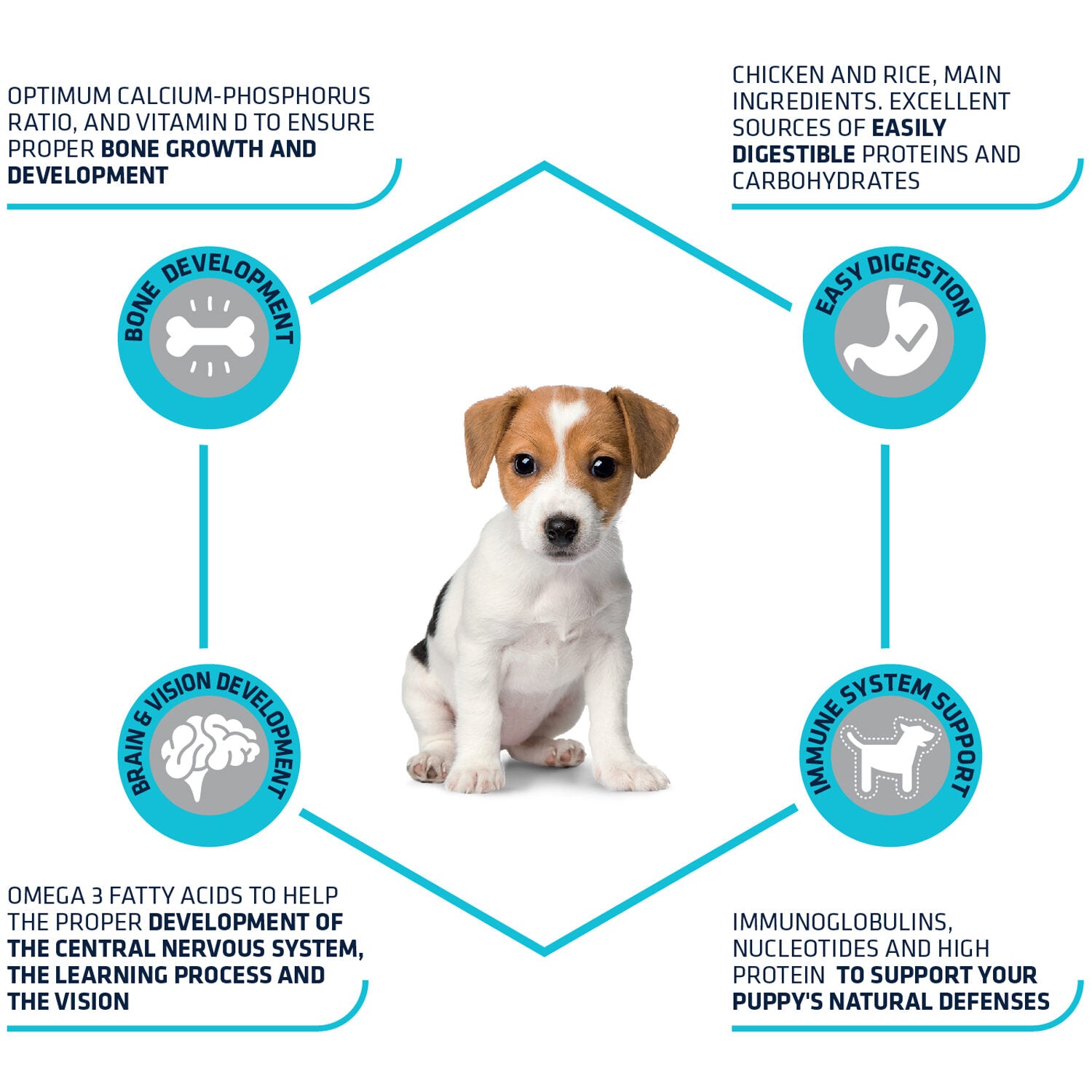  Affinity Advance Puppy Protect Mini