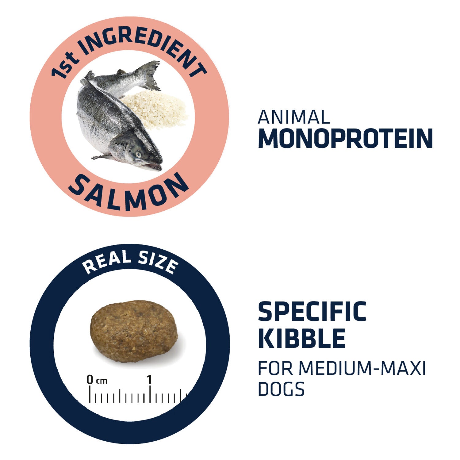  Affinity Advance Sensitive Medium-Maxi Salmon And Rice - Dog