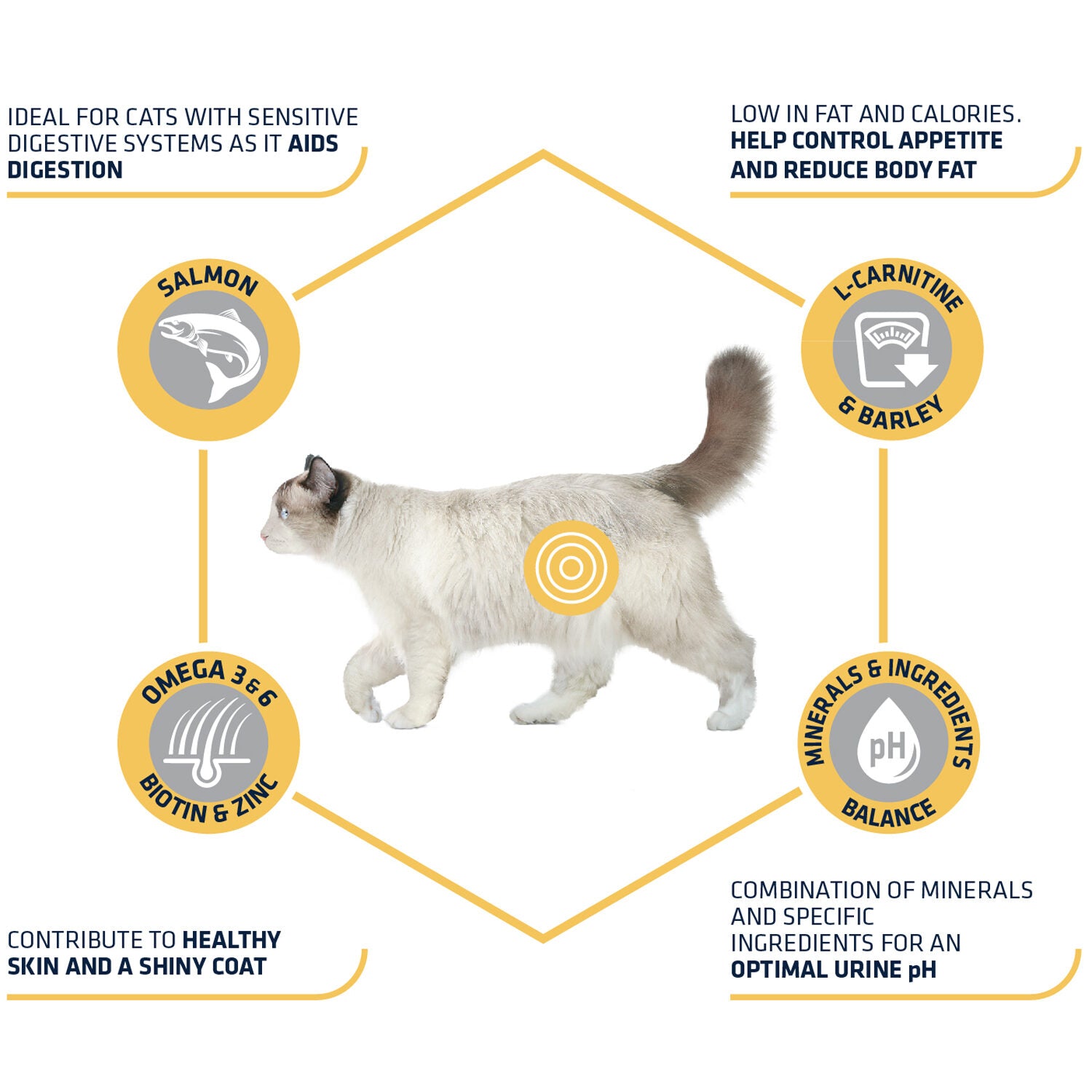  Affinity Advance Sterilized Salmon Sensitive - Cat