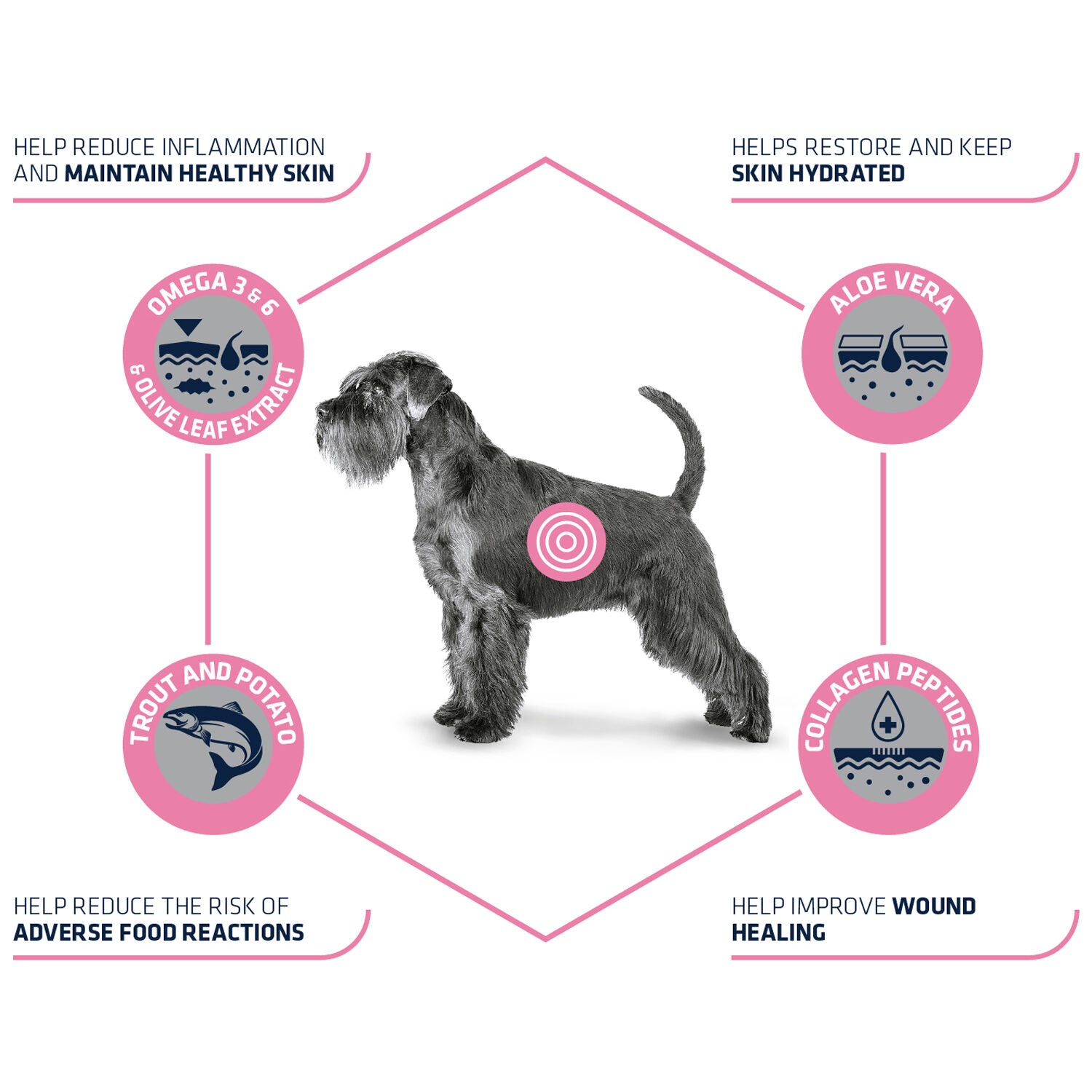  Affinity Advance Veterinary Diets Atopic Dog