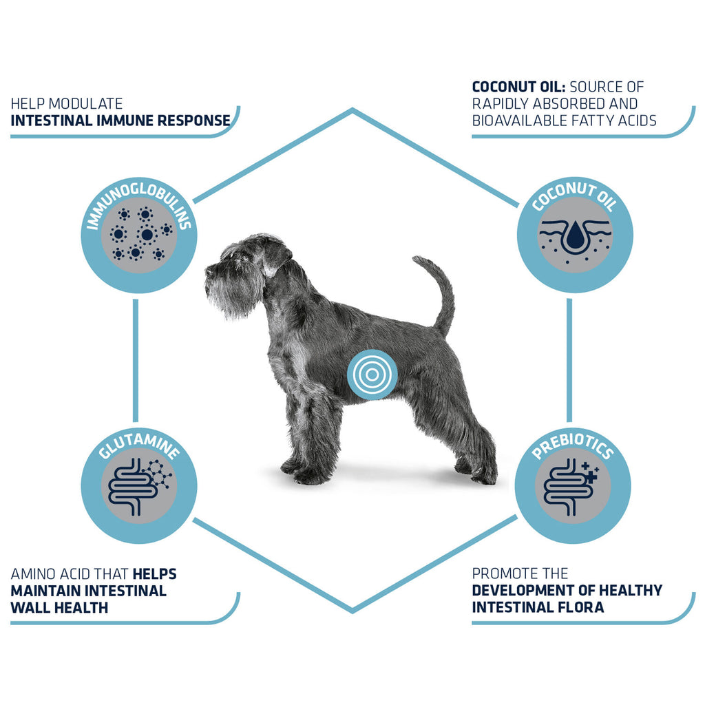 Affinity Advance Veterinary Diets Gastroenteric Dog