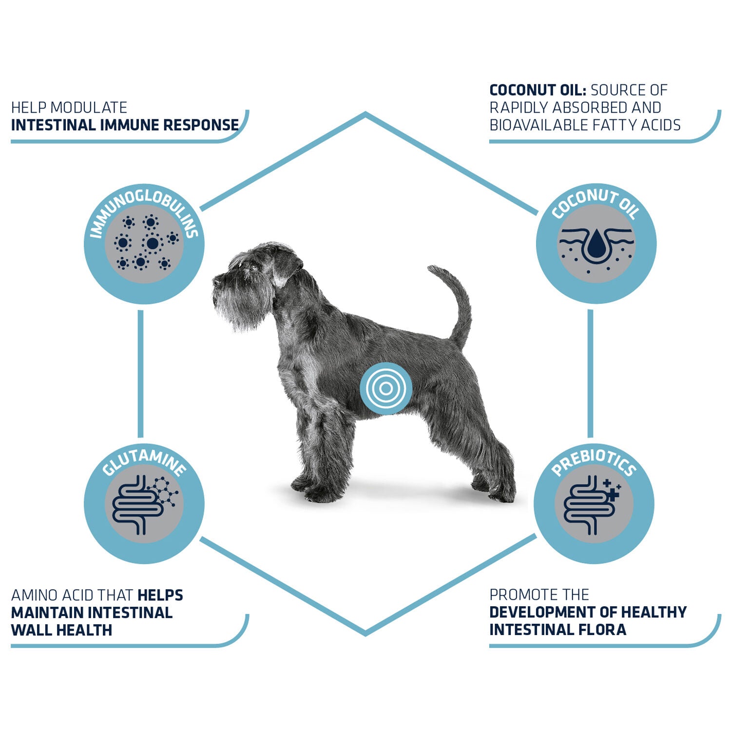  Affinity Advance Veterinary Diets Gastroenteric Dog