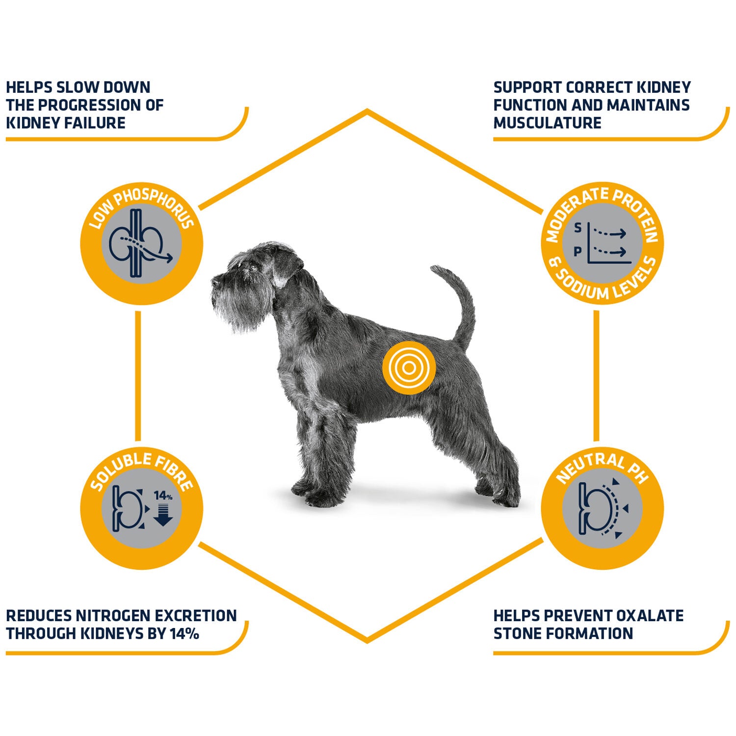  Affinity Advance Veterinary Diets Renal Dog