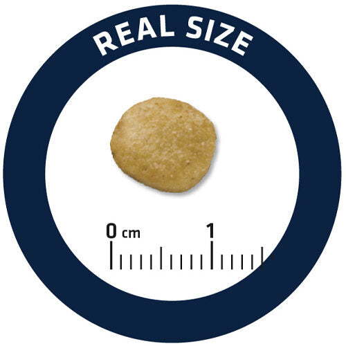  Affinity Advance Veterinary Diets Renal Dog