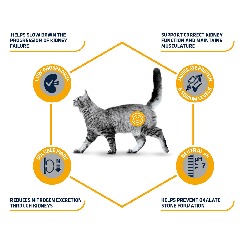  Affinity Advance Veterinary Diets Renal Cat