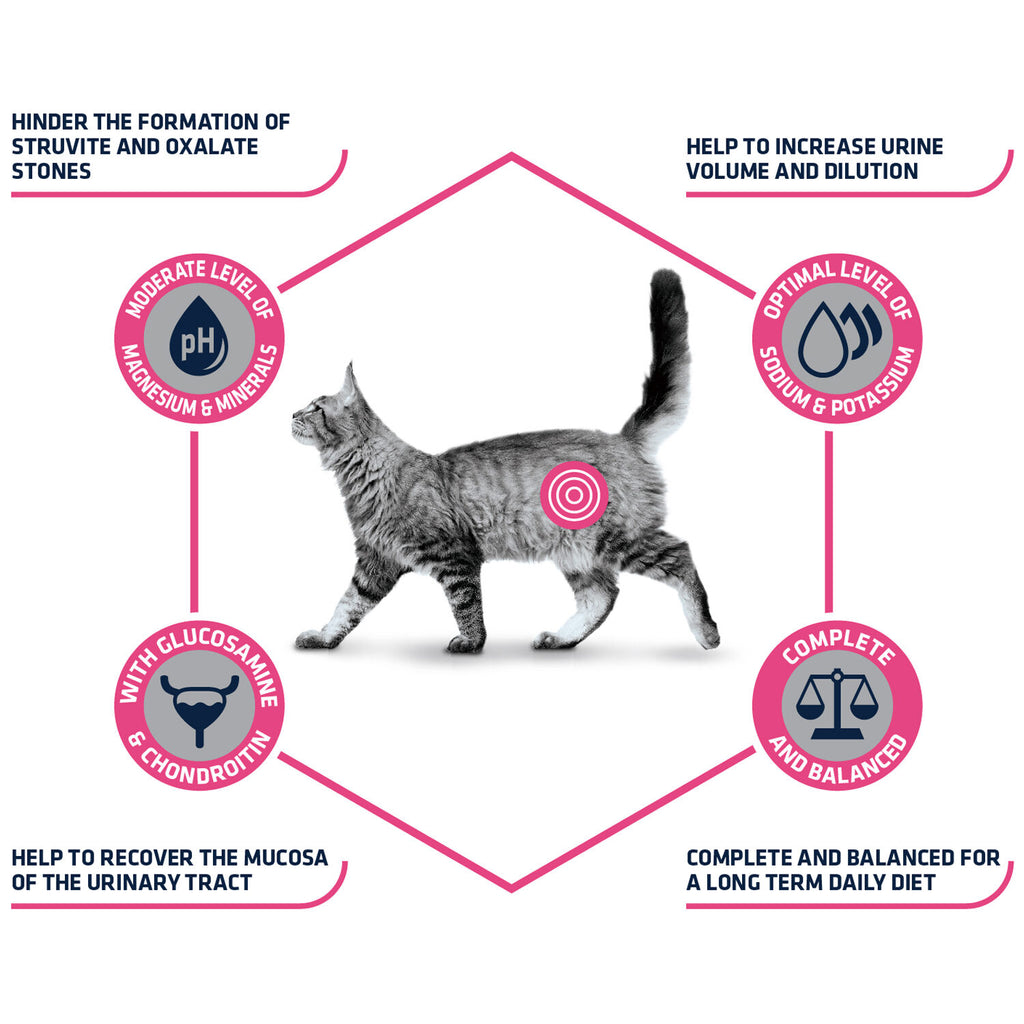  Affinity Advance Veterinary Diets Urinary Cat