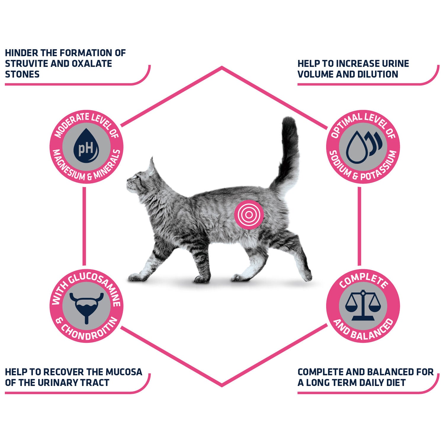  Affinity Advance Veterinary Diets Urinary Cat