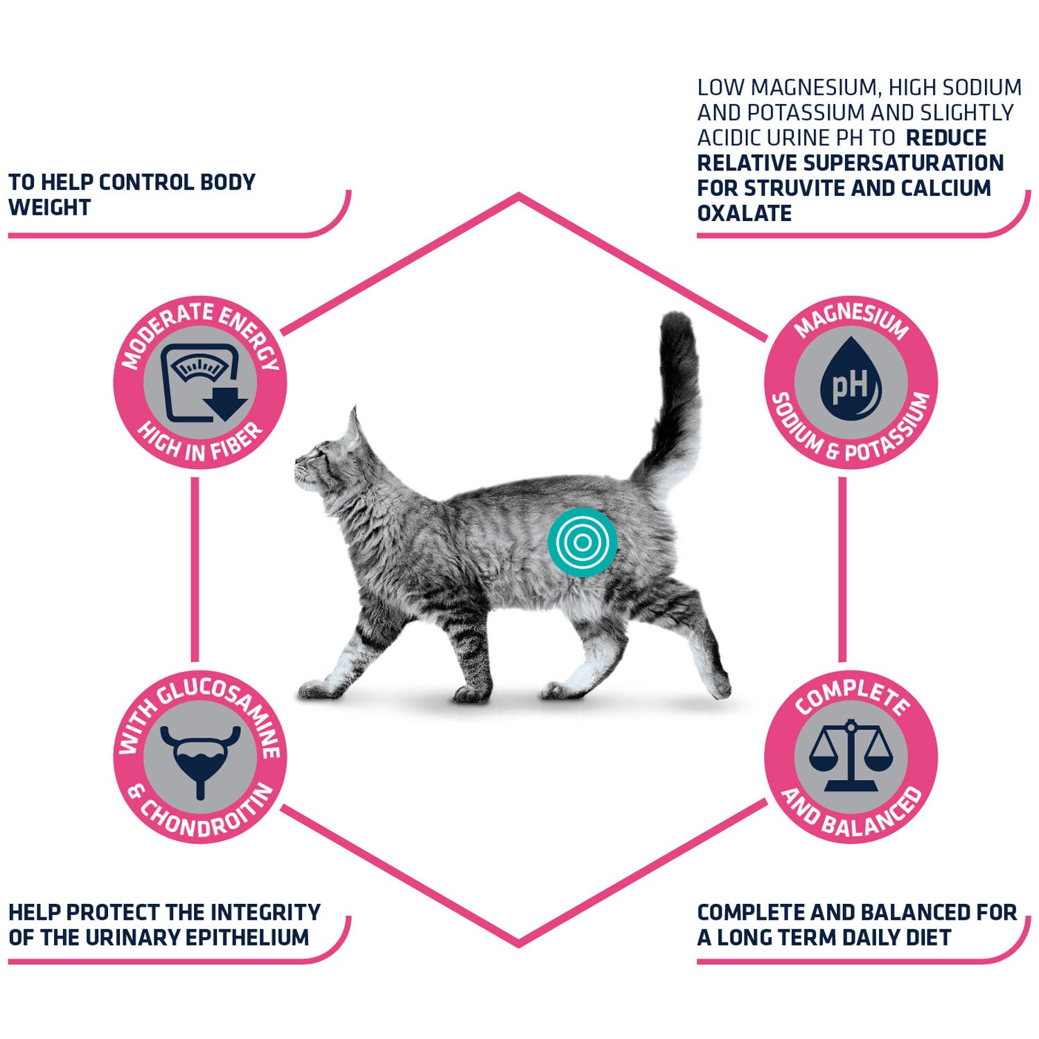  Affinity Advance Veterinary Diets Urinary Sterilized Low Calorie Cat