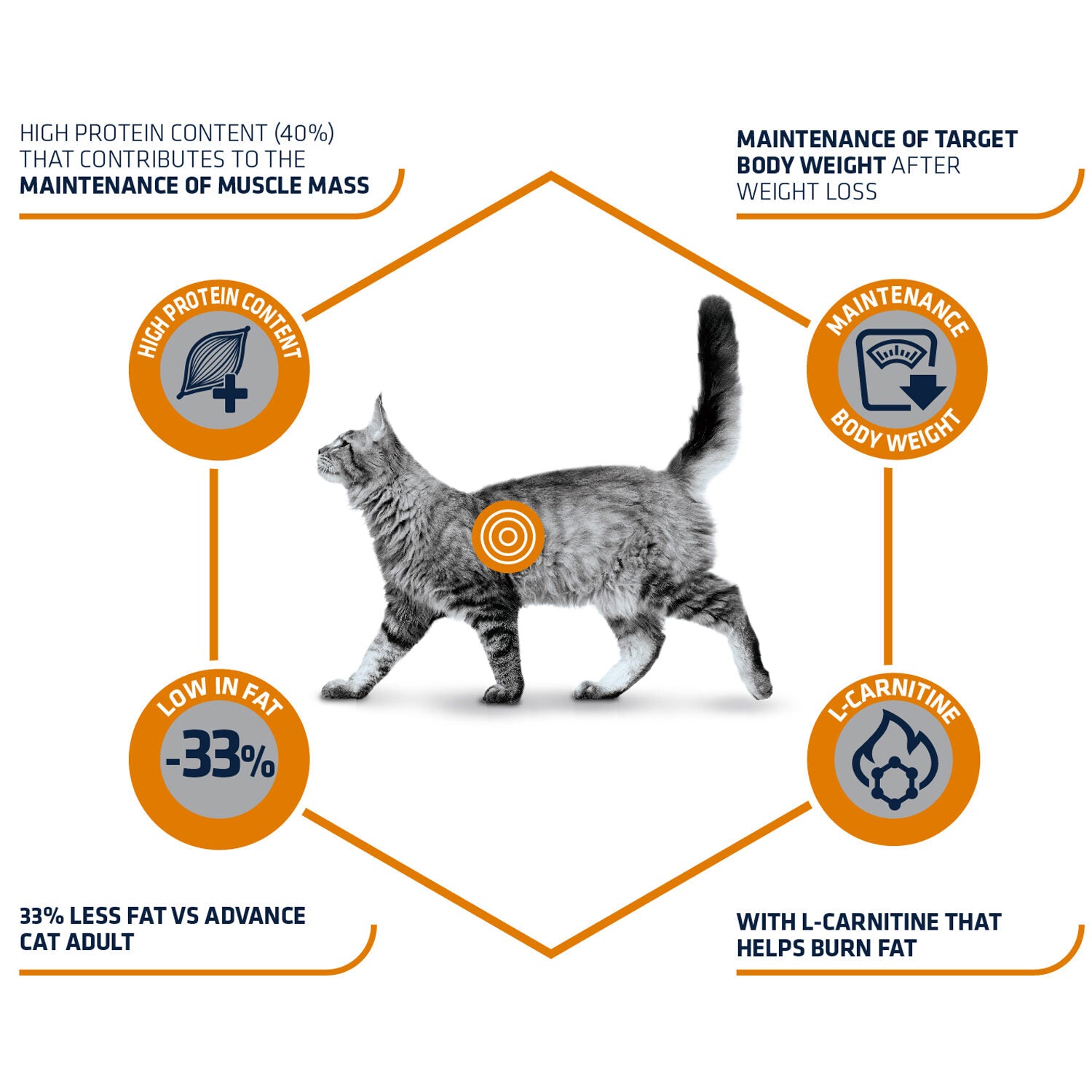  Affinity Advance Veterinary Diets Weight Balance Cat