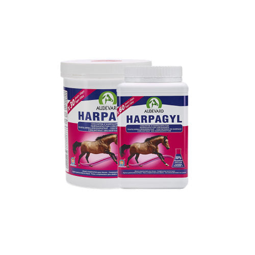  Audevard Harpagyl