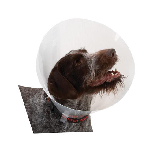BEAPHAR Buster Transparent Classic Collar