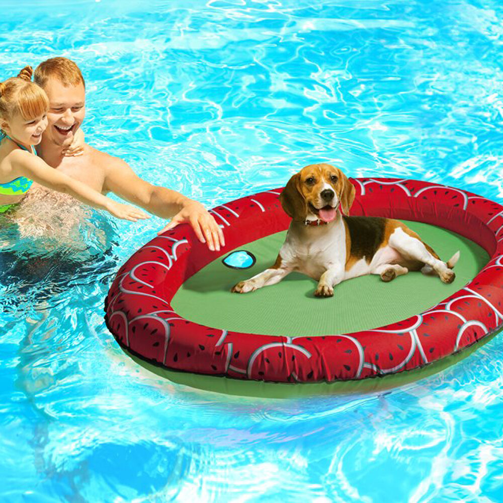  Beeztees Floatie Gody