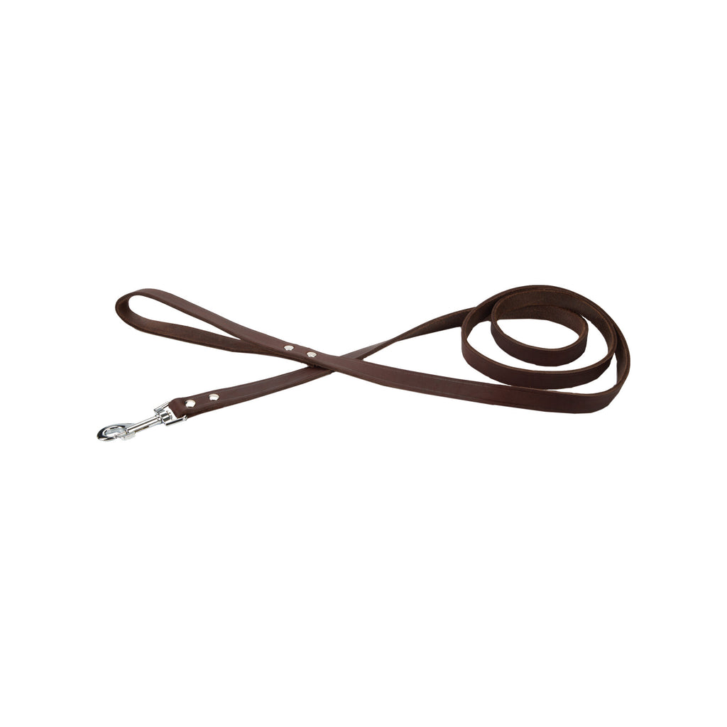  Beeztees Enjoy Dog Leash 