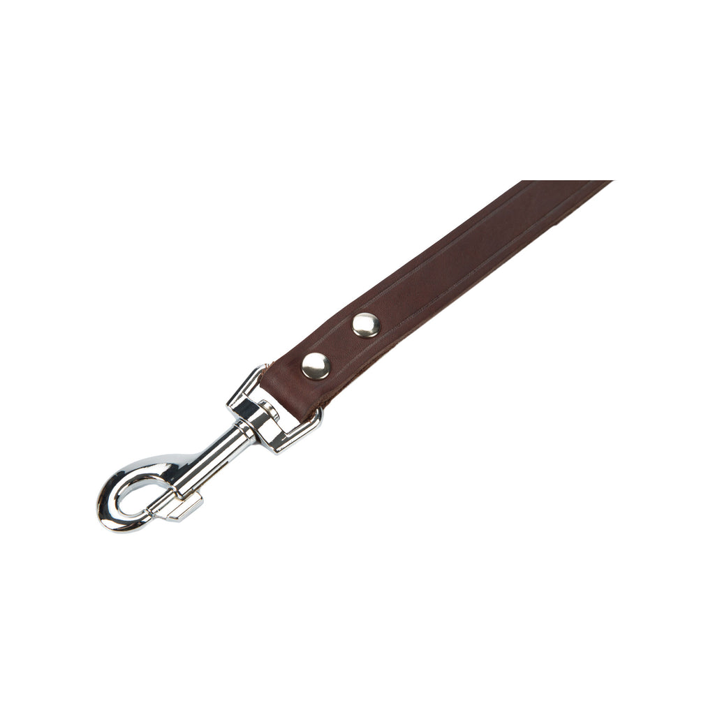  Beeztees Enjoy Dog Leash 