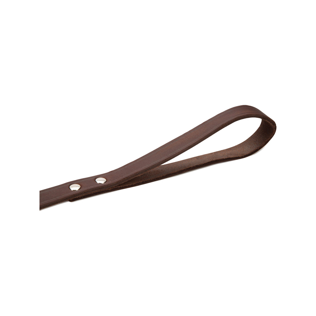  Beeztees Enjoy Dog Leash 