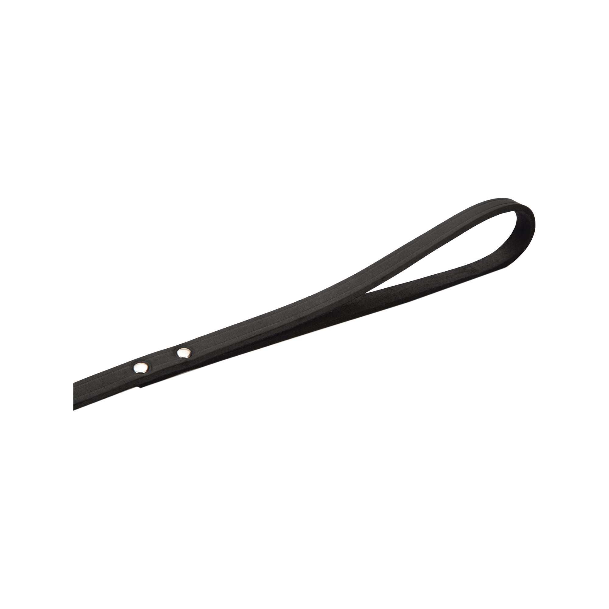  Beeztees Enjoy Dog Leash 