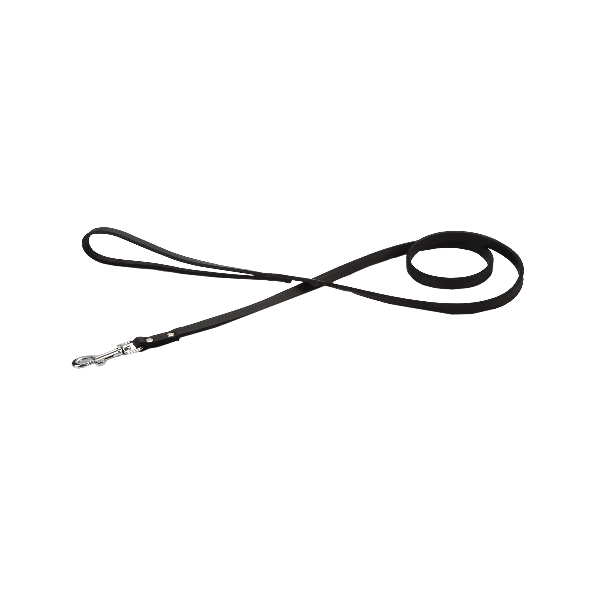  Beeztees Enjoy Dog Leash 