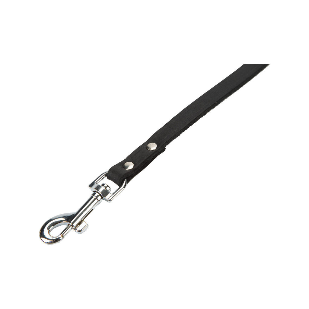  Beeztees Enjoy Dog Leash 