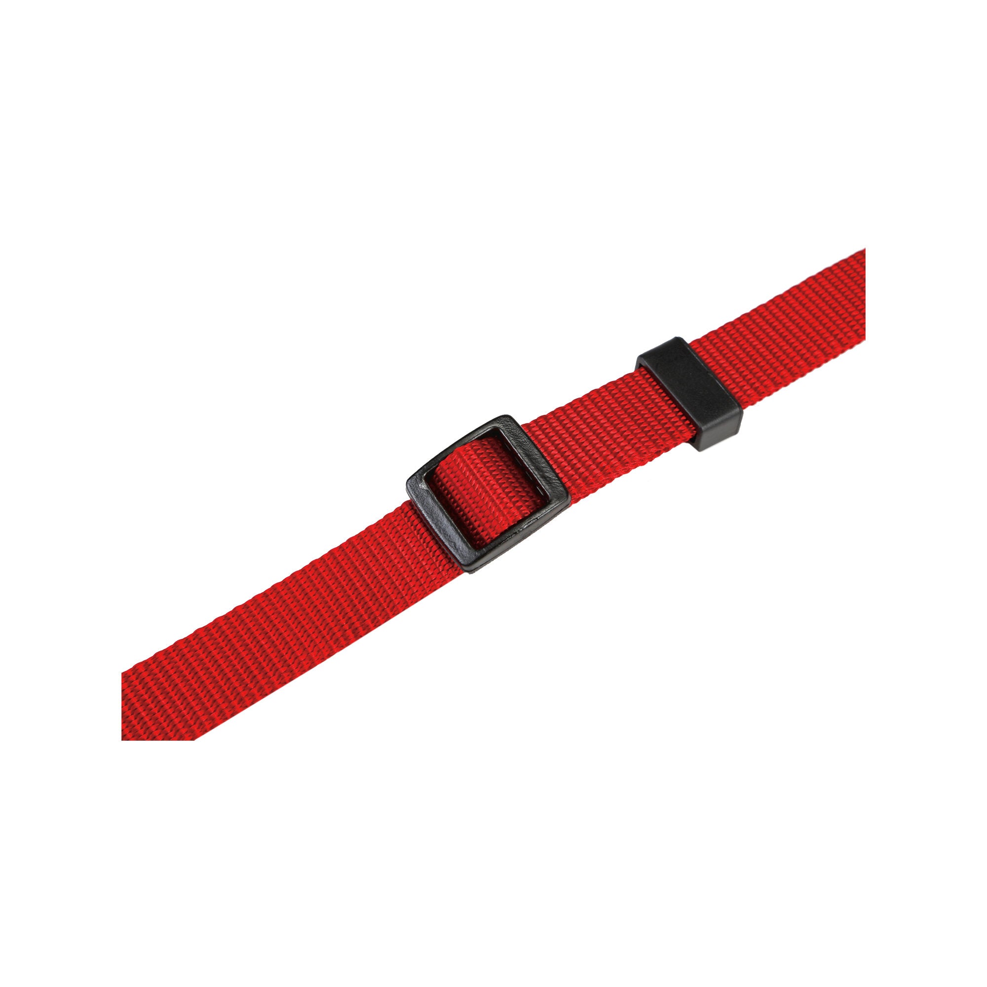  Beeztees Dog Collar With Click Buckle