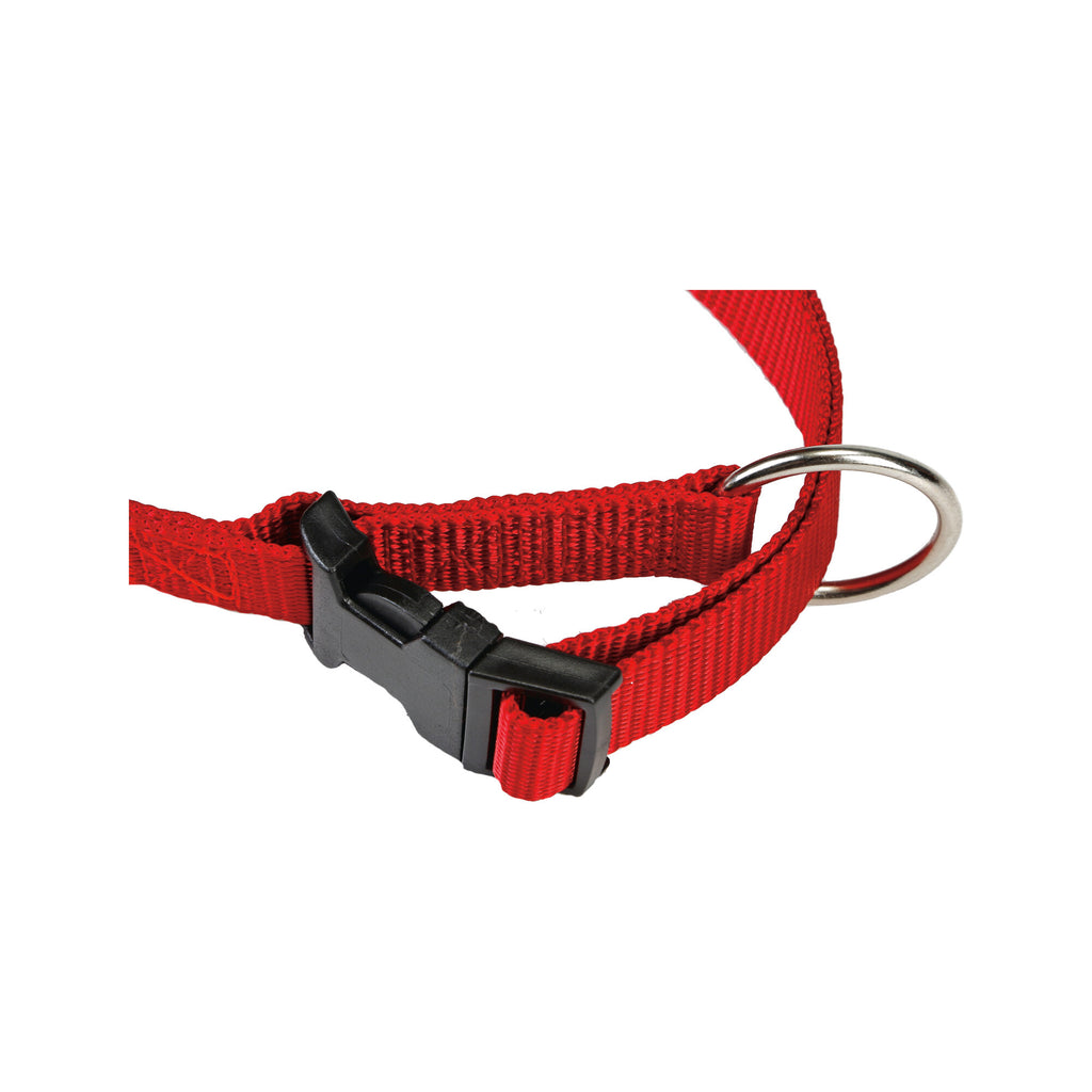  Beeztees Dog Collar With Click Buckle