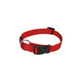  Beeztees Dog Collar With Click Buckle