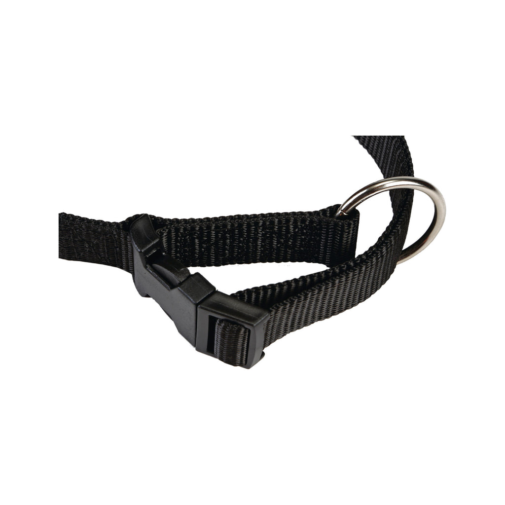  Beeztees Dog Collar With Click Buckle