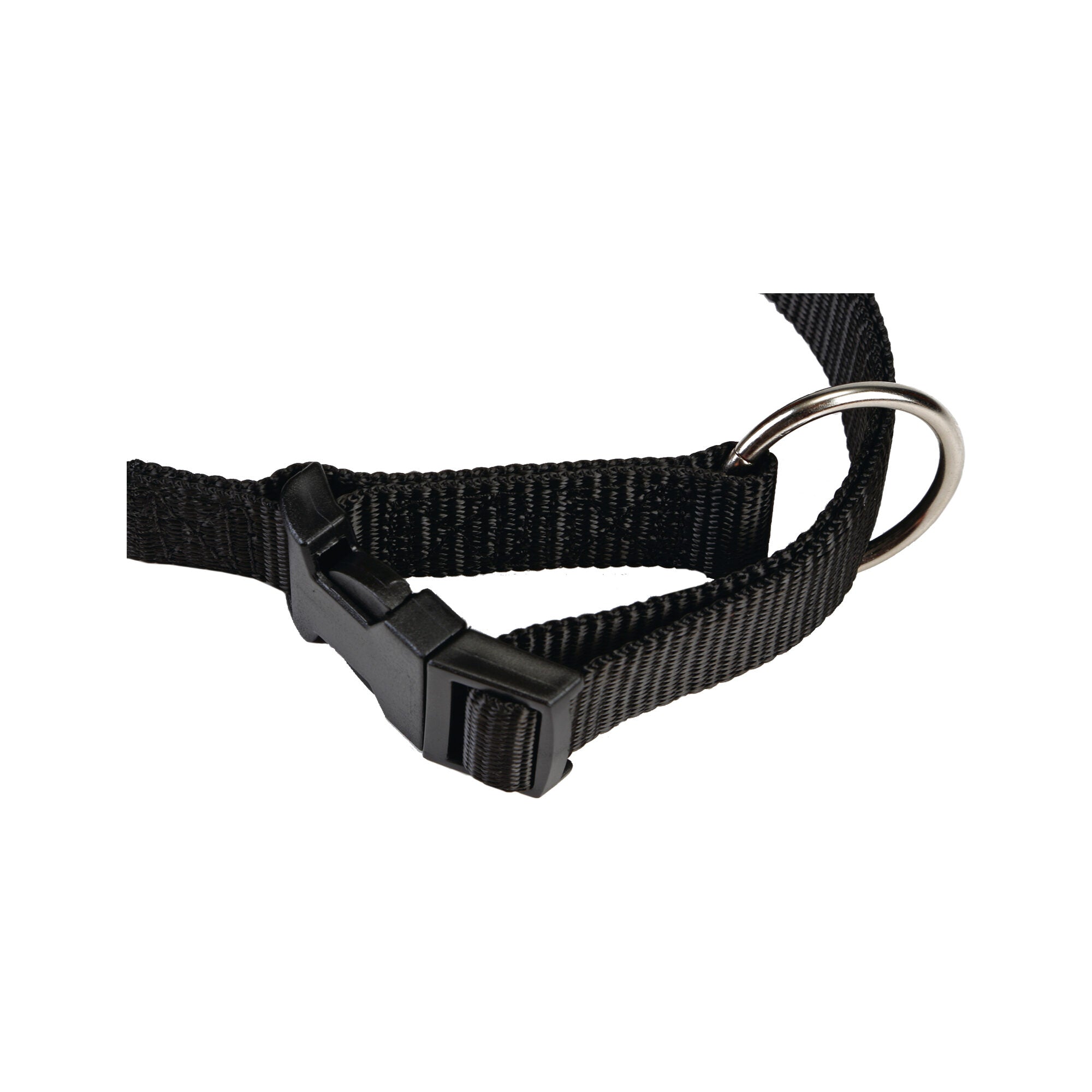  Beeztees Dog Collar With Click Buckle
