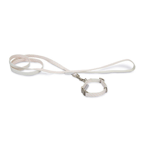  Beeztees Collar & Leash 