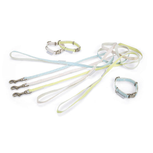  Beeztees Collar & Leash 