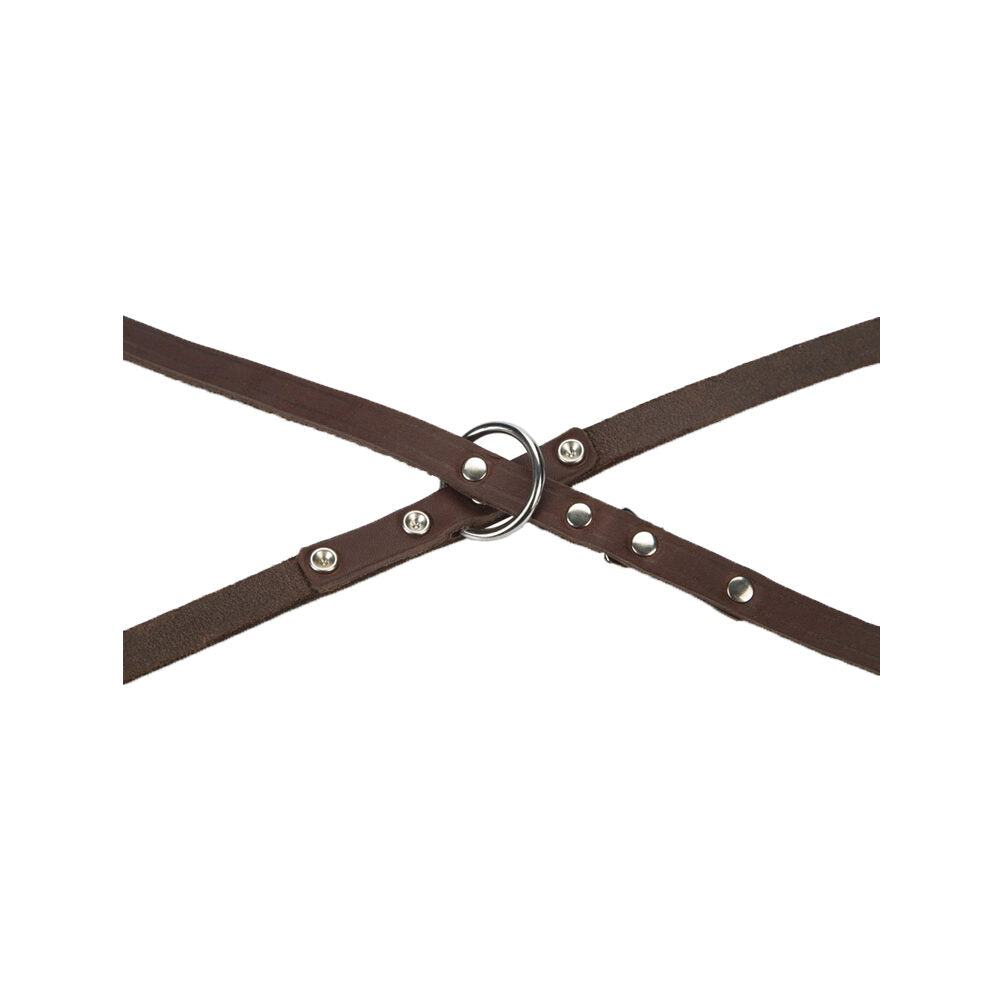  Beeztees Dog Leash Leather
