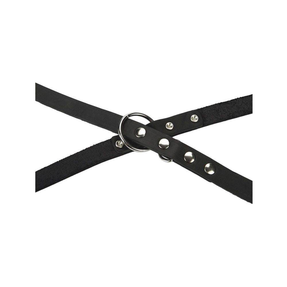  Beeztees Dog Leash Leather