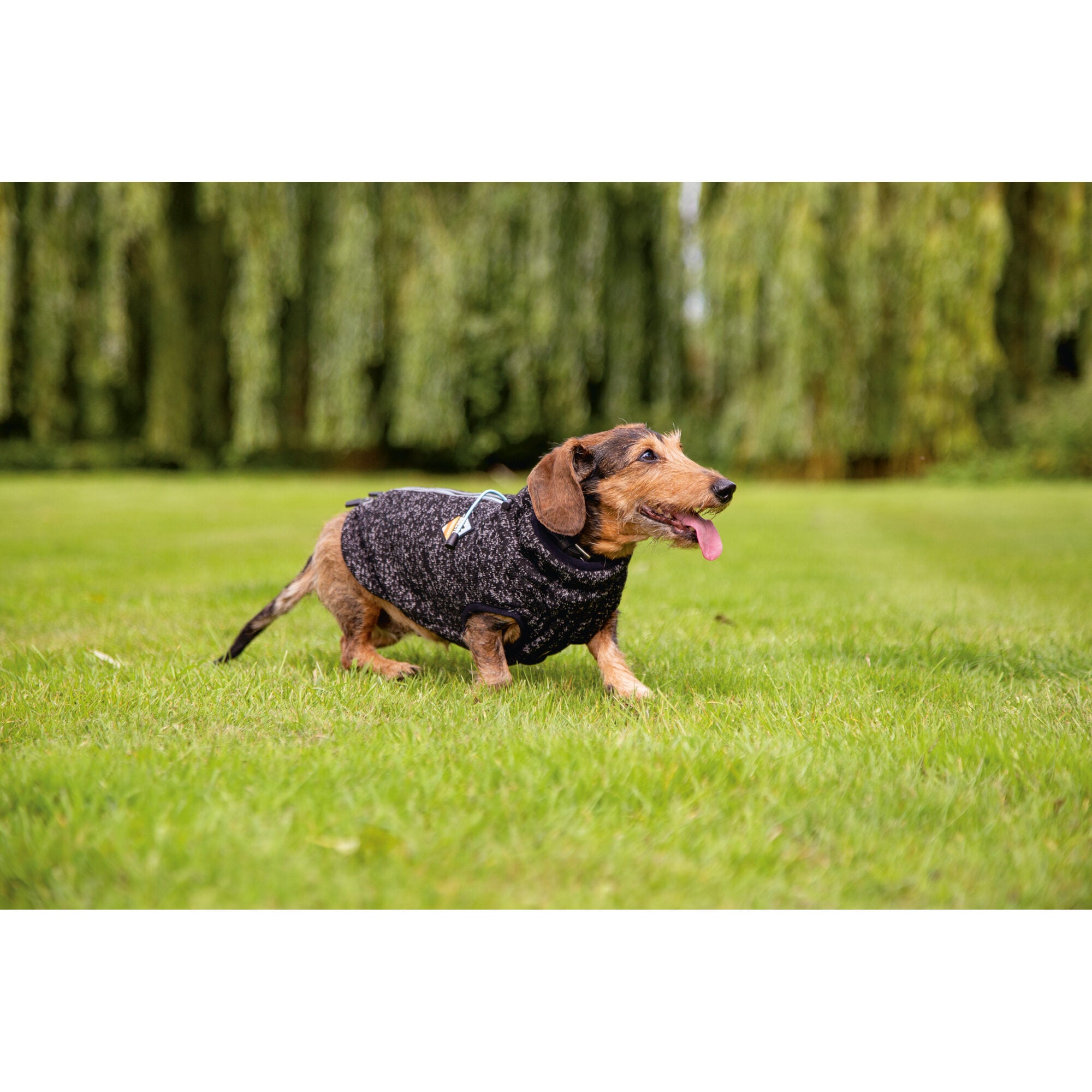  Beeztees Dog Sweater Celia