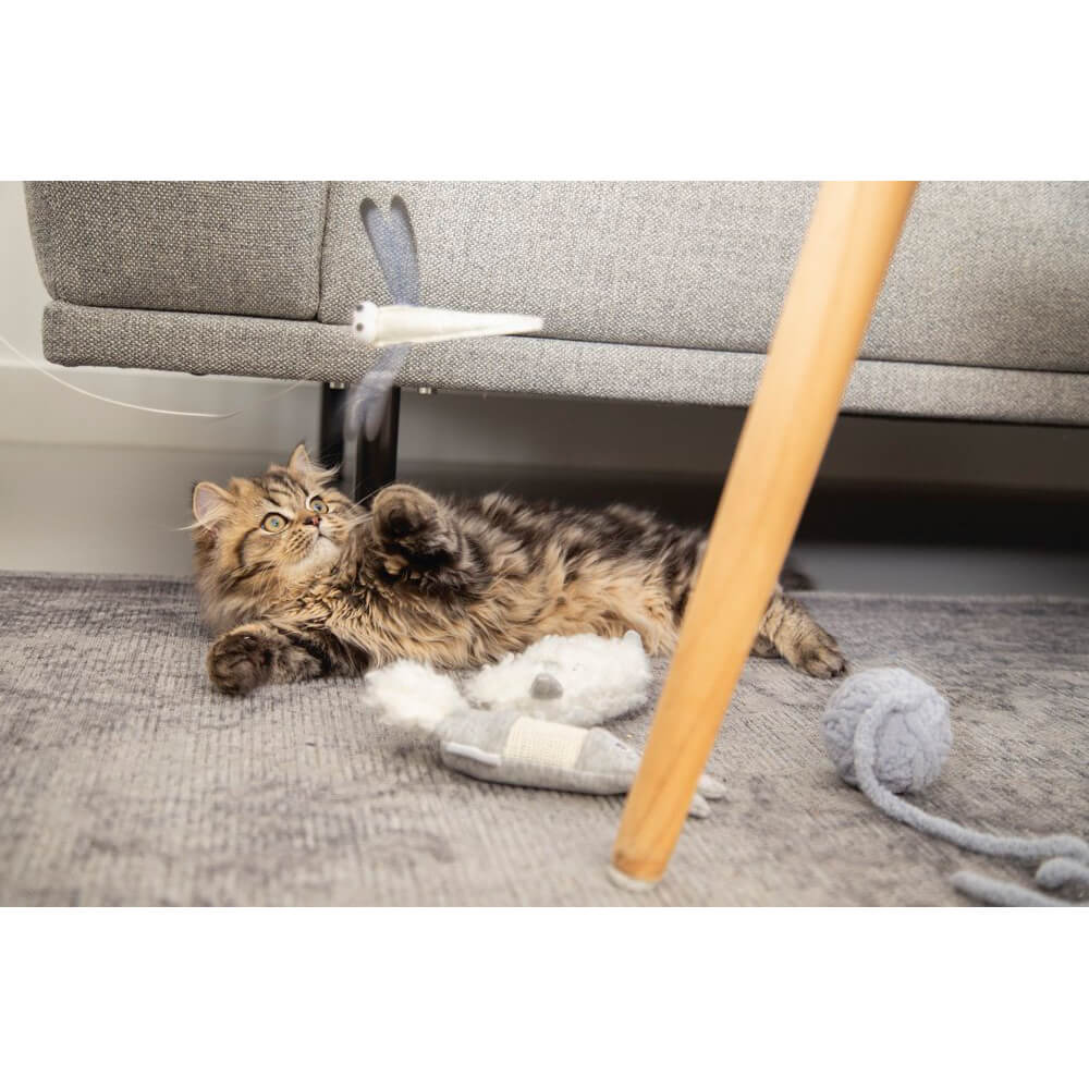 ROYAL CANIN Beeztees Kitten Ball + Cord