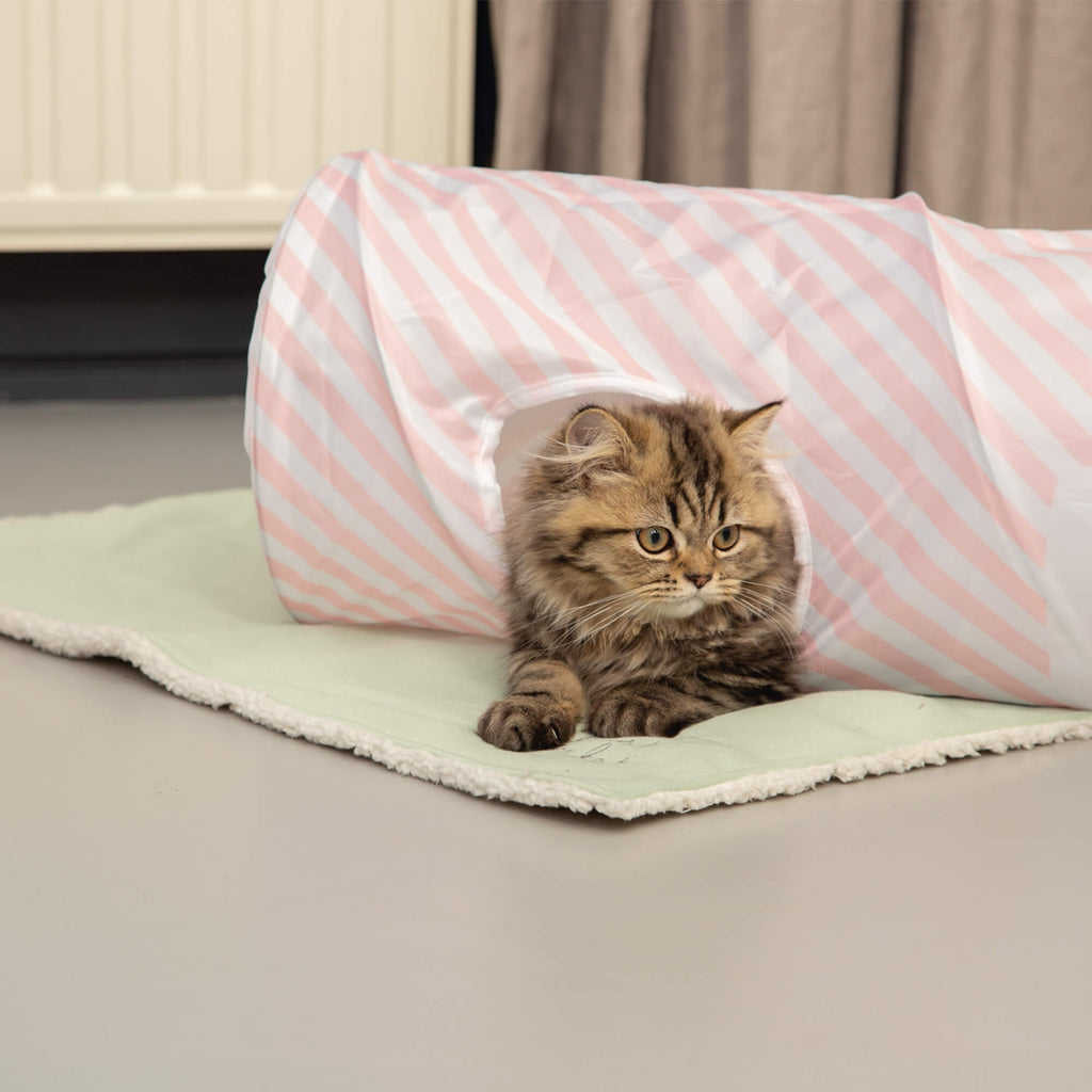 Boon Beeztees Kitten Pluche Blanket Tilou