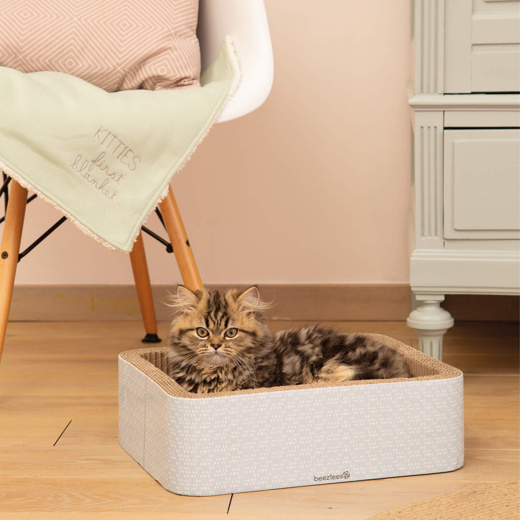 Boon Beeztees Kitten Pluche Blanket Tilou