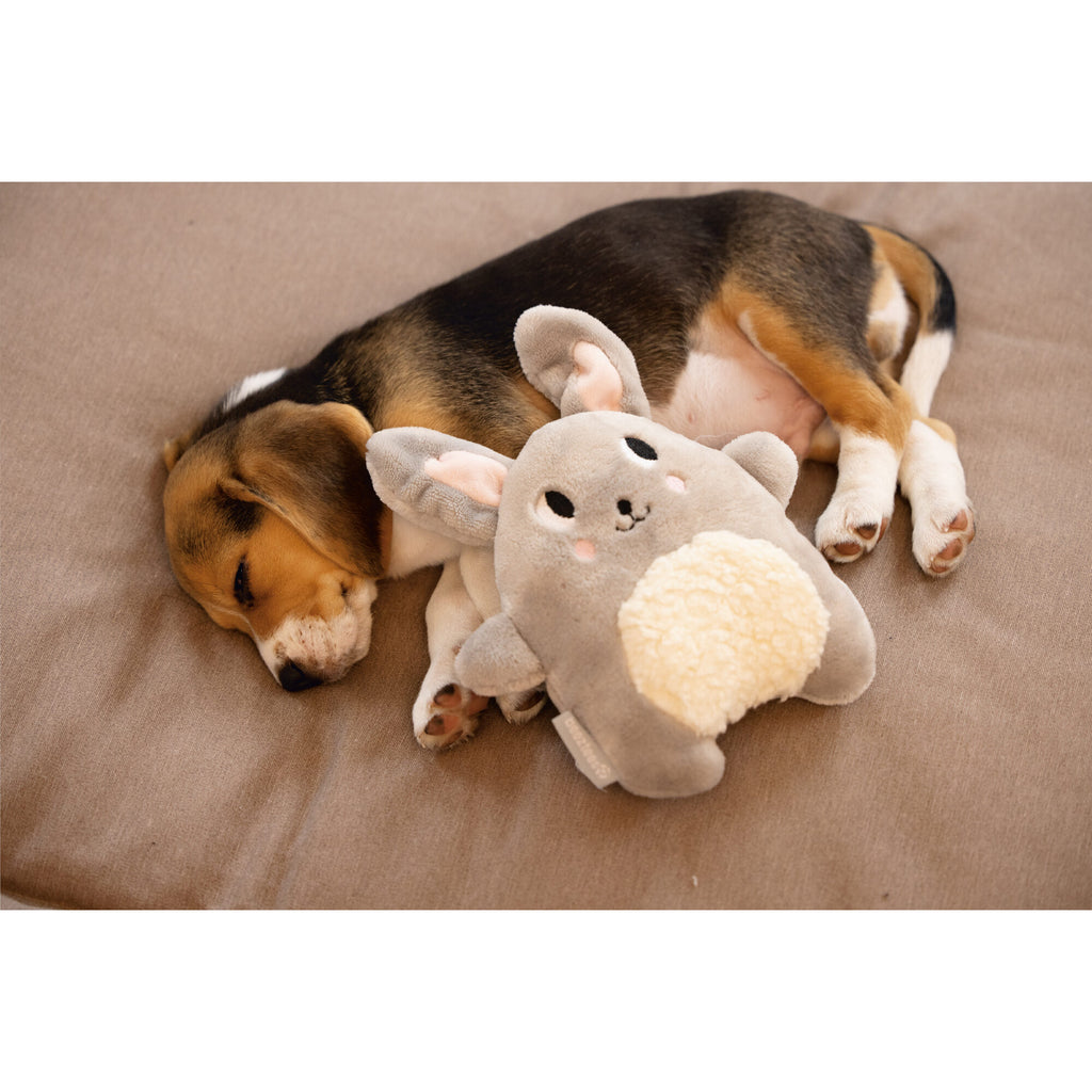 Chuckit! Beeztees Puppy Plush Toy Snoet
