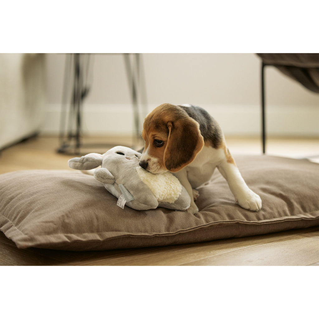 Chuckit! Beeztees Puppy Plush Toy Snoet