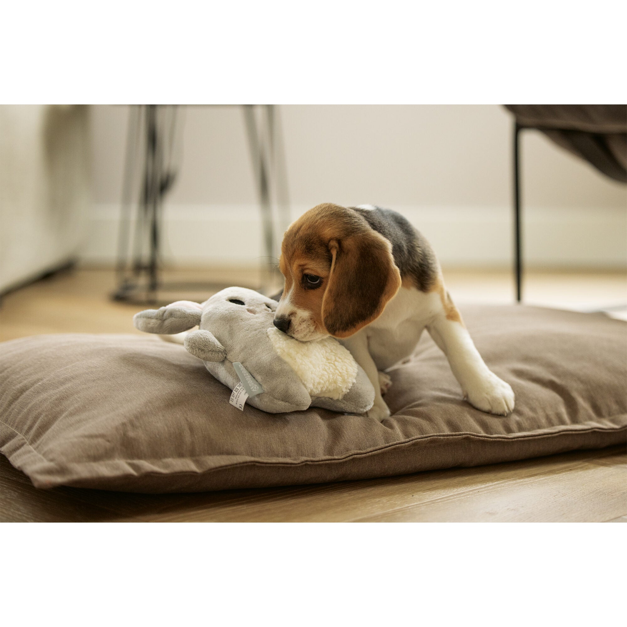 Chuckit! Beeztees Puppy Plush Toy Snoet