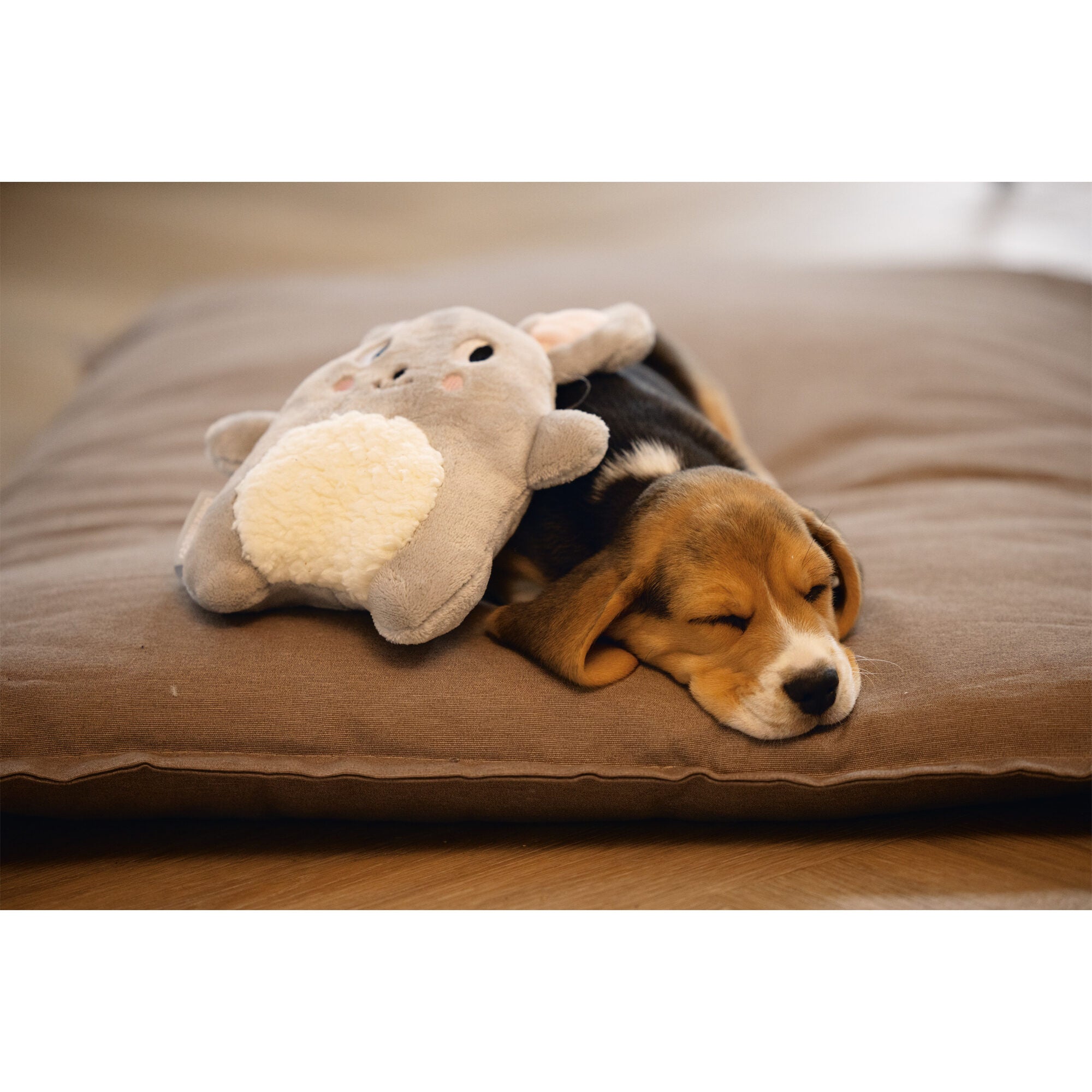 Chuckit! Beeztees Puppy Plush Toy Snoet