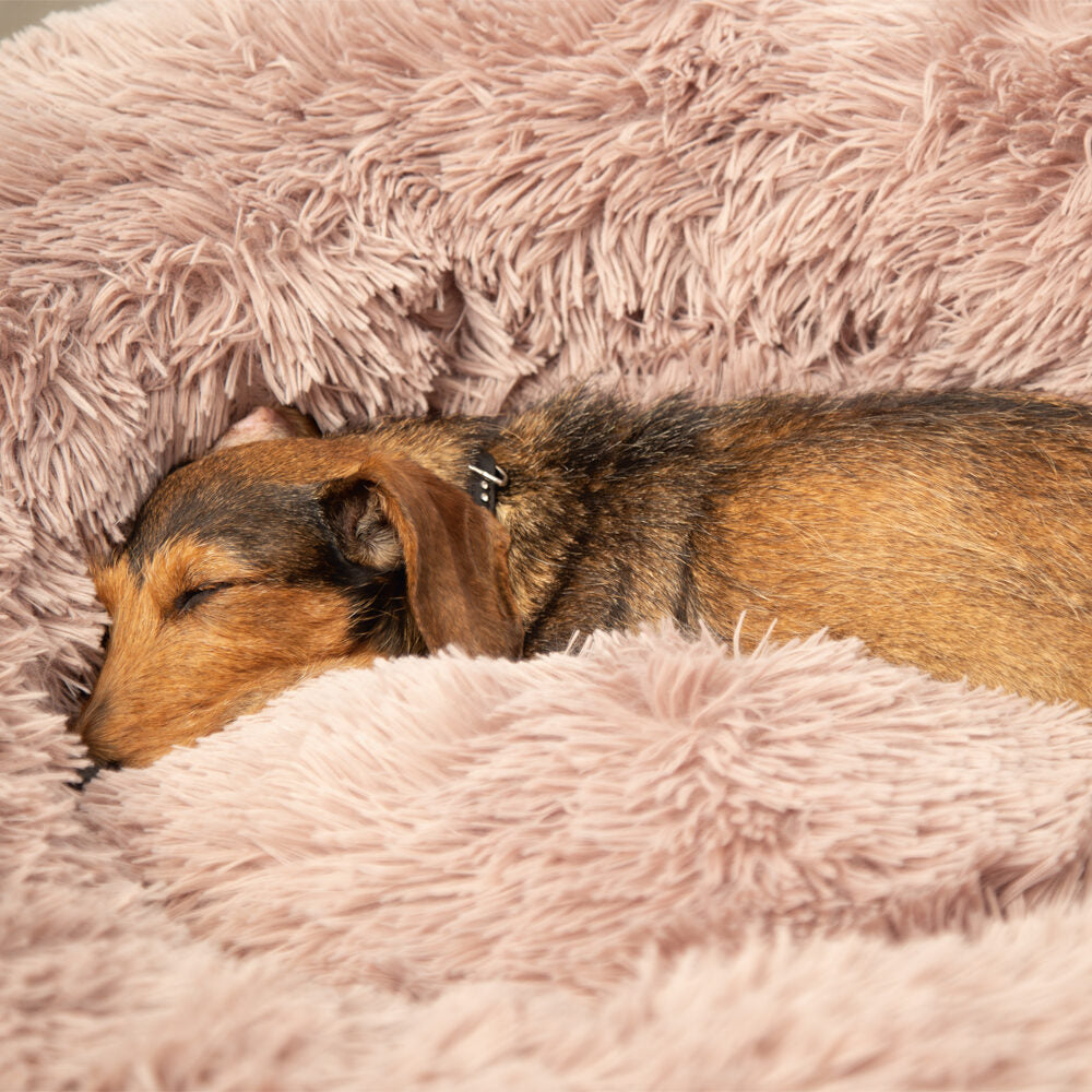  Beeztees Yali Plush Donut Bed