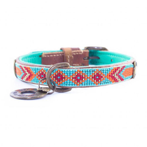  DWAM Dog Collar Paddy Lee