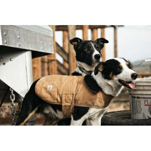  Carhartt Dog Chore Coat
