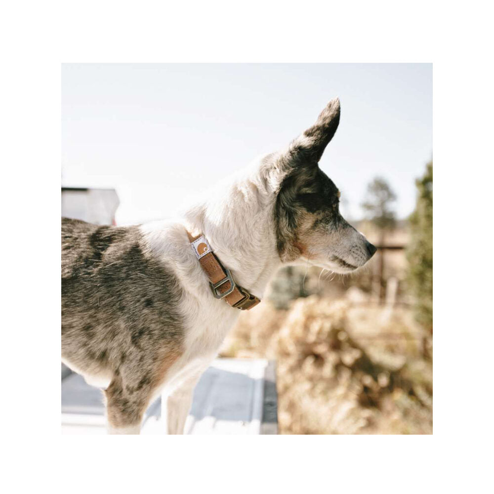 Carhartt Journeyman Collar