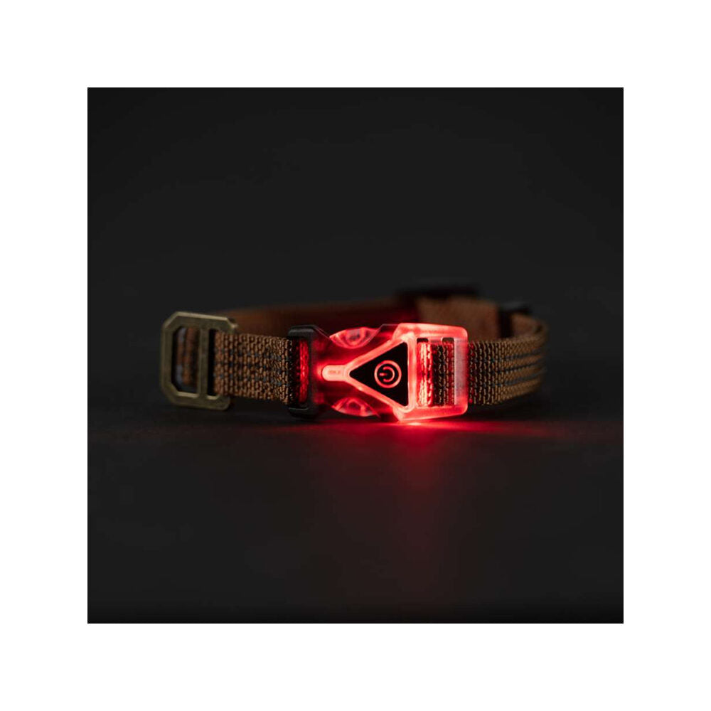  Carhartt Lighted Dog Collar