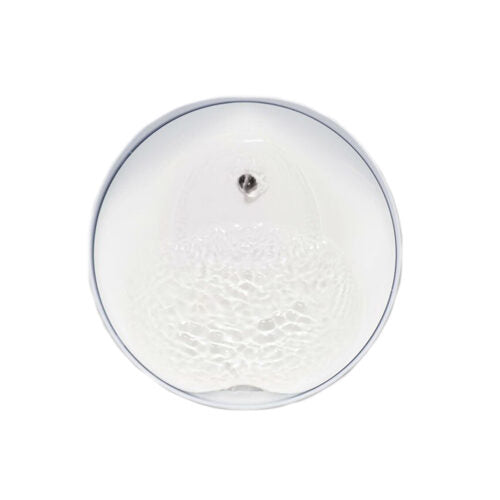  Catit PIXI Drinking Fountain