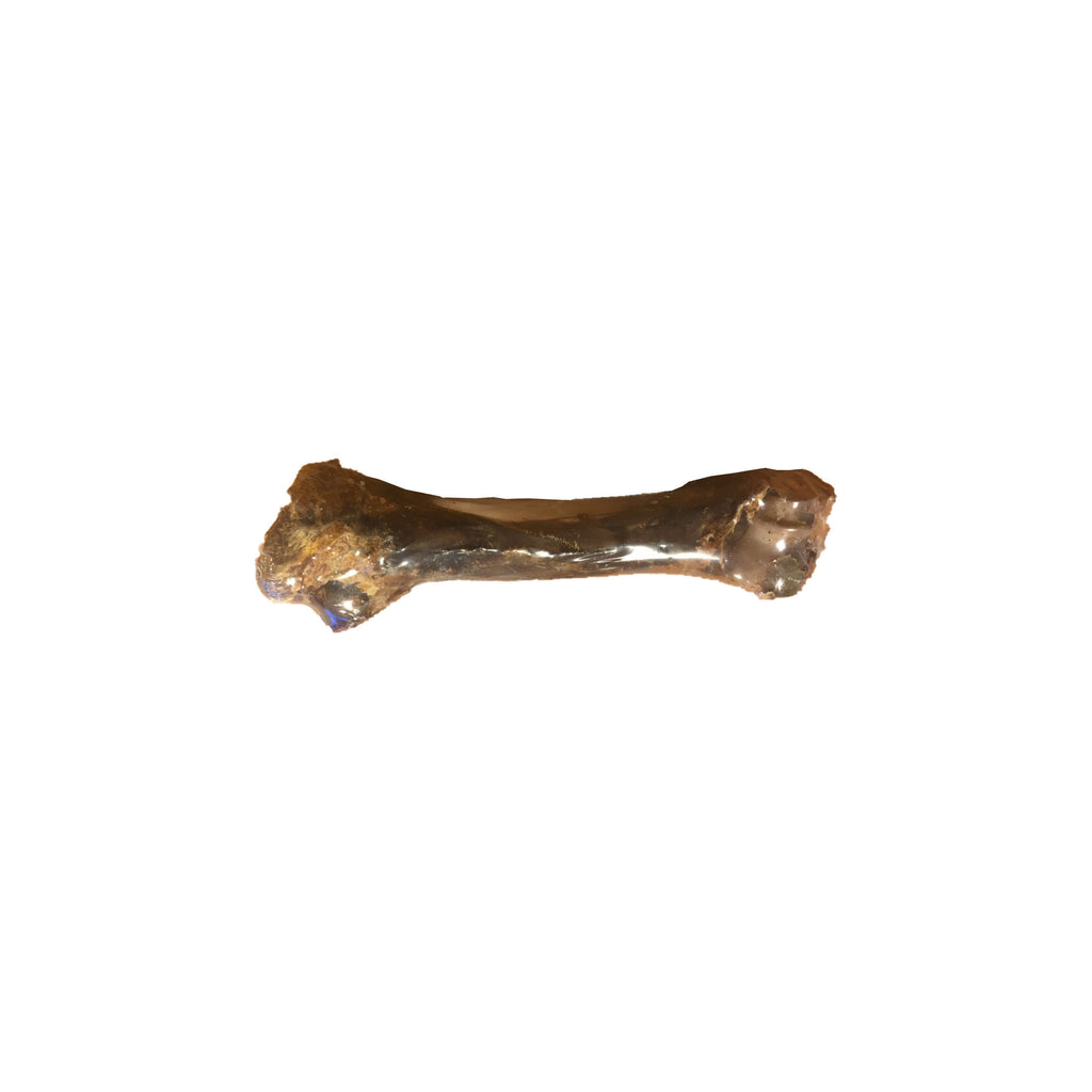 Nobby Competition Deer Bone Adult - XL