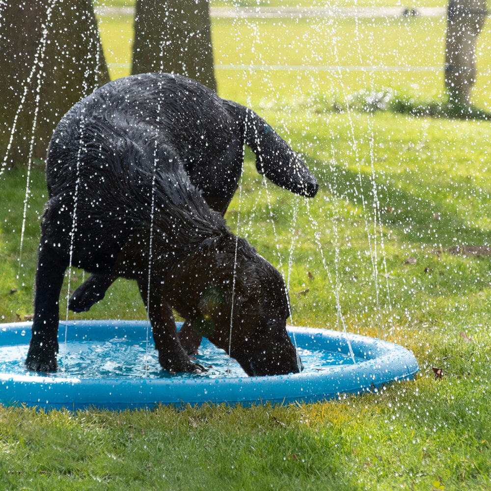  CoolPets Splash Pool Sprinkler
