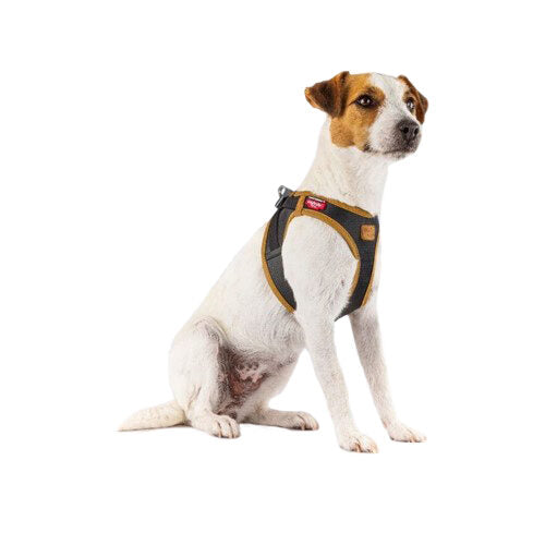  Curli Vegan Apple Leather Harness 